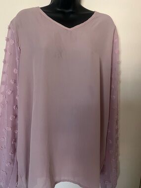 Mauve Sheer Long-Sleeve Blouse